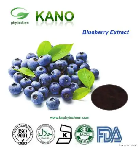 Blueberry Extract 25% Anthocyanidin