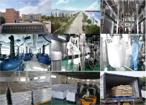 Food Grade Ferric Pyrophosphate direct manufacturer