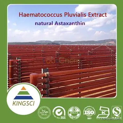 100% top quality Haematococcus Pluvialis Extract Natural Astaxanthin / Astaxanthin oil