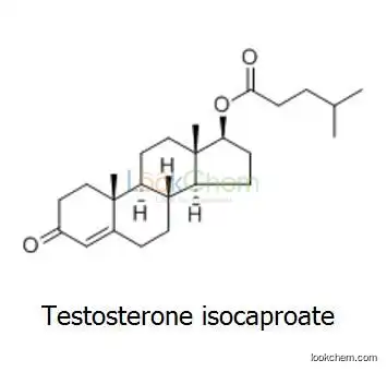 reasonable price Testosterone Isocaproate/Testosterone Isocaproate 15262-86-9/affordable 15262-86-9
