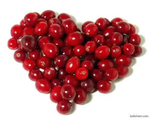 Pure Natural Cranberry Extract 5%-50% Proanthocyanidin Supplier