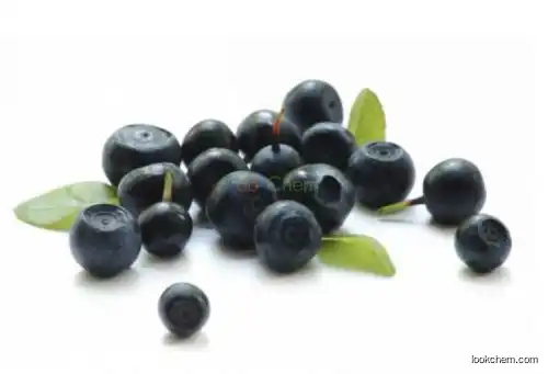 Natural Chokberry Extract 25%Anthocyanidin Supplier
