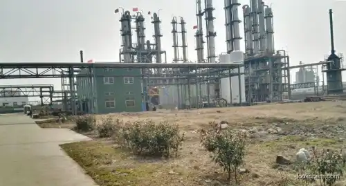 high quality 2-Hydroxynicotinaldehyde 67292-34-6