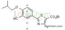 Ethyl 2-(3-Cyano-4-isobutoxyphenyl)-4- methyl - 5- thiazole carboxylate