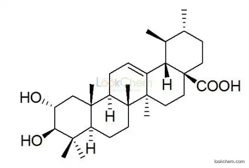 Banaba Leaf Extract Corosolic Acid With Factory Price