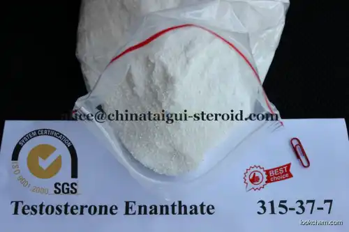 Testosterone Enanthate CAS 315-37-7 Anabolic Hormone Raw Steroid Powders