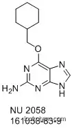 Nu2058; 6-(cyclohexylmethoxy)-9H-purin-2-amine; 2-amino-6-cyclohexylmethoxypurine