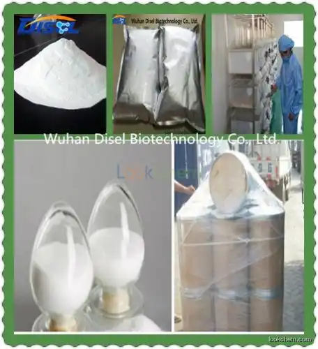 Factory Sale High Purity Metformin HCl / Hydrochloride CAS 1115-70-4