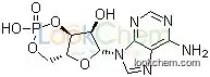 Adenosine Cyclophosphate