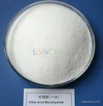 Food grade Citric Acid anhydrous/monohydrate 95%-101%