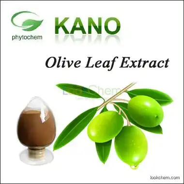Olive Leaf Extract Hydroxytyrosol 10%-40% Cas No.:10597-60-1 Price per Kg
