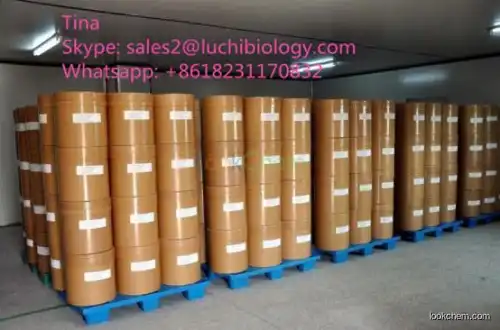 L-Lysine 56-87-1 CAS NO.56-87-1