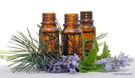 Lavender Oil with Factory Price