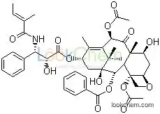 Taxus Cuspidata Extract Cephalomannine