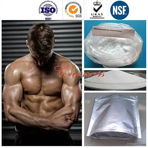 Methenolone Enanthate Raw Steroid Powders CAS 303-42-4 No Side Effects Steroids