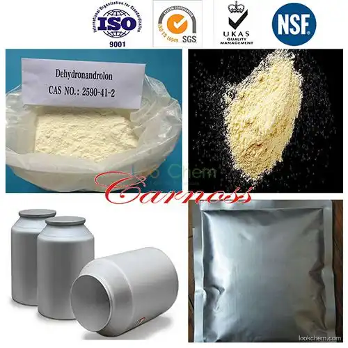 Safe and Effective Steroid Dehydronandrolon CAS: 2590-41-2