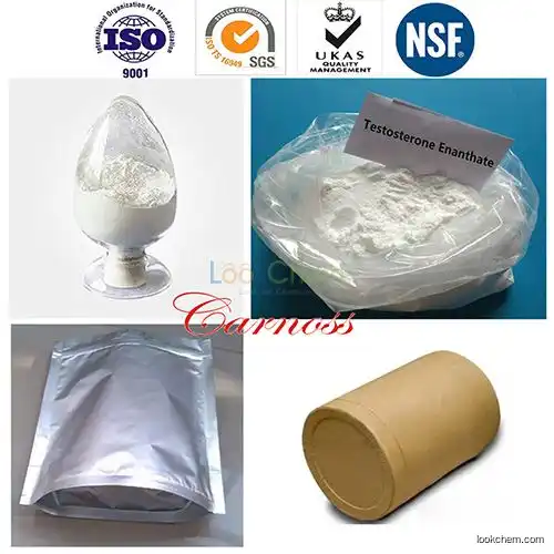 99% Purity Anabolic Steroid Powder Testosterone Enanthate for Muscle Building