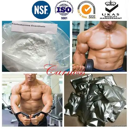 99% Purity Anabolic Steroid Powder Testosterone Enanthate for Muscle Building