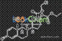 Loteprednol Etabonate