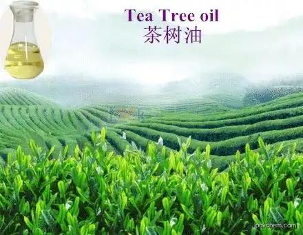100% manufacturer best price tea tree oil soap shampoo