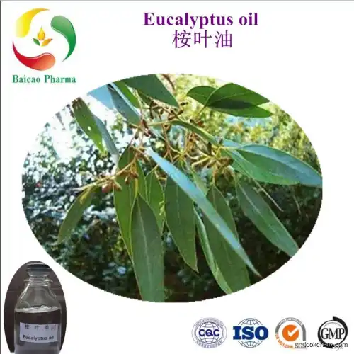 Colorless or light yellow liquid cineole70% 80% Eucalyptus leaf oil 100% pure natural essential manufacturer