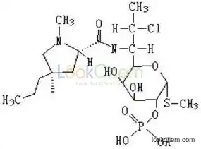 Clindamycin Phosphate  (APIs)