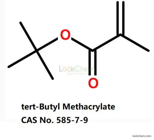 tert-butyl Methacrylate