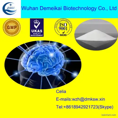 Chemical Supplier Provide Piracetam Powder Function and Usage