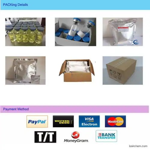 Top Quality Noopept Nootropics Powder Wholesale Price from China