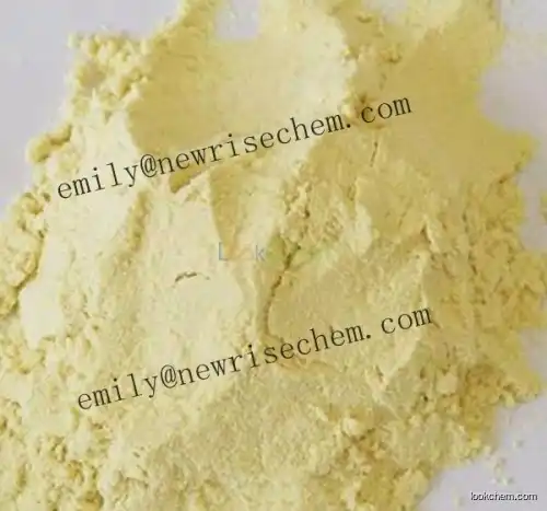 Manufacturer supply Creatine monohydrate powder