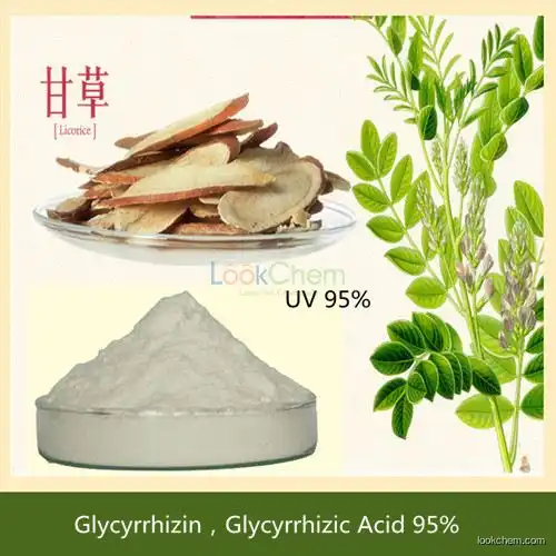 Licorice Root Extract Glycyrrhizin，Glycyrrhizic Acid 95%
