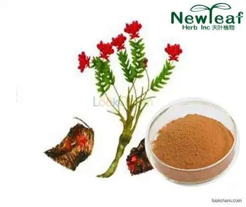 Factory Quality Rhodiola Rosea Extract(Rosavin,salidroside)