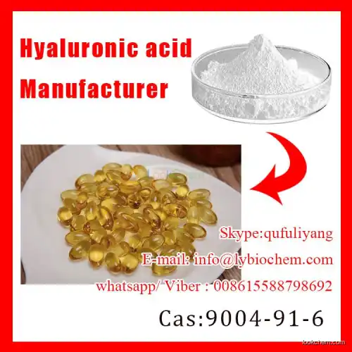 Food Grade Hyaluronic Acid Powder CAS 9004-61-9