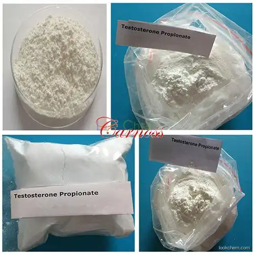 99% Purity Raw Hormone Powders Pro Testosterone Steroid Hormone CAS 57-85-2