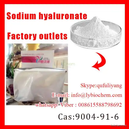 Sodium Hyaluronaye Powder CAS:9004-61-9