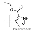 ETHYL 5-TERT-BUTYL-1H-IMIDAZOLE-4-CARBOXYLATE