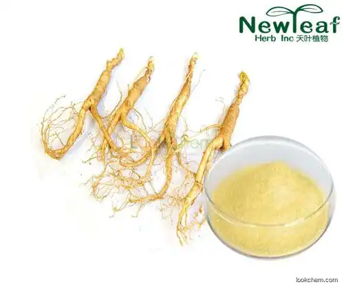 Factory Quality Ginseng Extract(ginsenosides, polysaccharide)(90045-38-8)