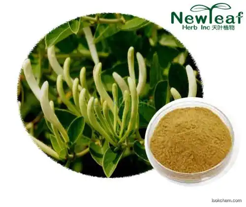 Factory Quality Honeysuckle Extract(Chlorogenic acid)