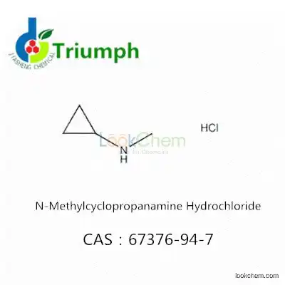 N-Methylcyclopropanamine Hydrochloride 67376-94-7