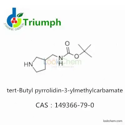 tert-Butyl pyrrolidin-3-ylmethylcarbamate 149366-79-0
