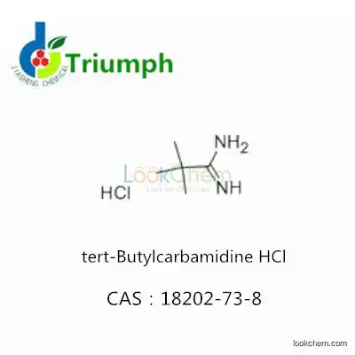 tert-Butylcarbamidine HCl 18202-73-8
