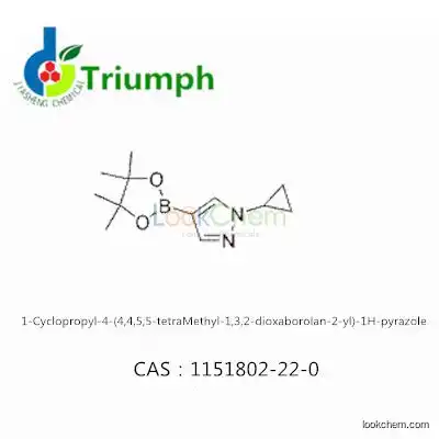 1-Cyclopropyl-4-(4,4,5,5-tetraMethyl-1,3,2-dioxaborolan-2-yl)-1H-pyrazole