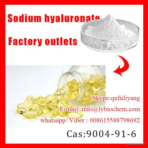 Food Grade Sodium Hyaluronate CAS 9004-61-9(9004-61-9)
