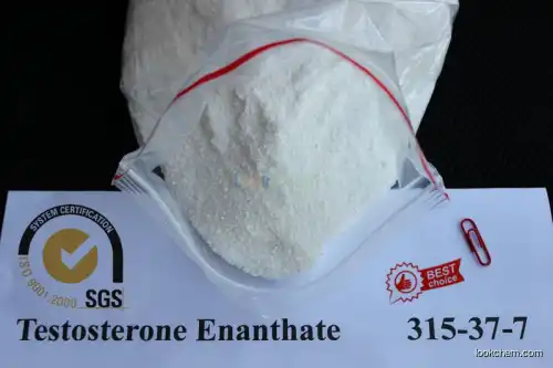 CAS 315-37-7 99% Testosterone Enanthate / Test E White Powders For Muscle Growth