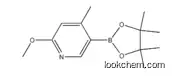 Pyridine, 2-methoxy-4-methyl-5-(4,4,5,5-tetramethyl-1,3,2-dioxaborolan-2-yl)-