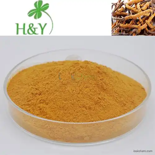 factory supply 100% pure natural cordyceps sinensis extract cordycepin 1% by HPLC(73-03-0)