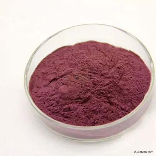 Aronia extract powder anthocyanin 25%(27200-12-0)