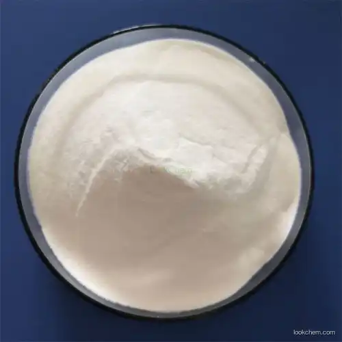High Quality 99% CAS 68497-62-1 Nootropic Pramiracetam Powder