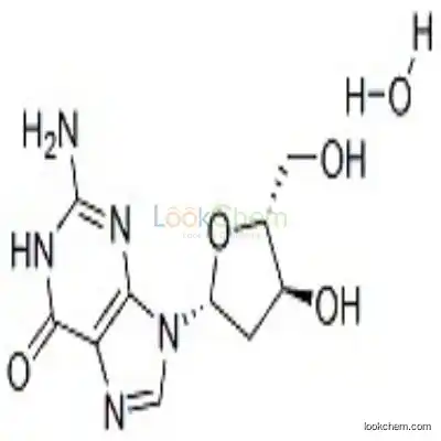 961-07-9 2'-Deoxyguanosine monohydrate