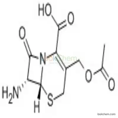 957-68-6 7-Aminocephalosporanic acid